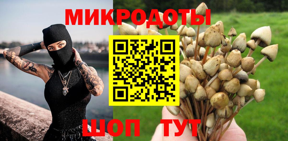 Галлюциногенные грибы GOLDEN TEACHER  Псилоцибиновые грибы прущие грибы  Вятские Поляны  Вход с VPN 