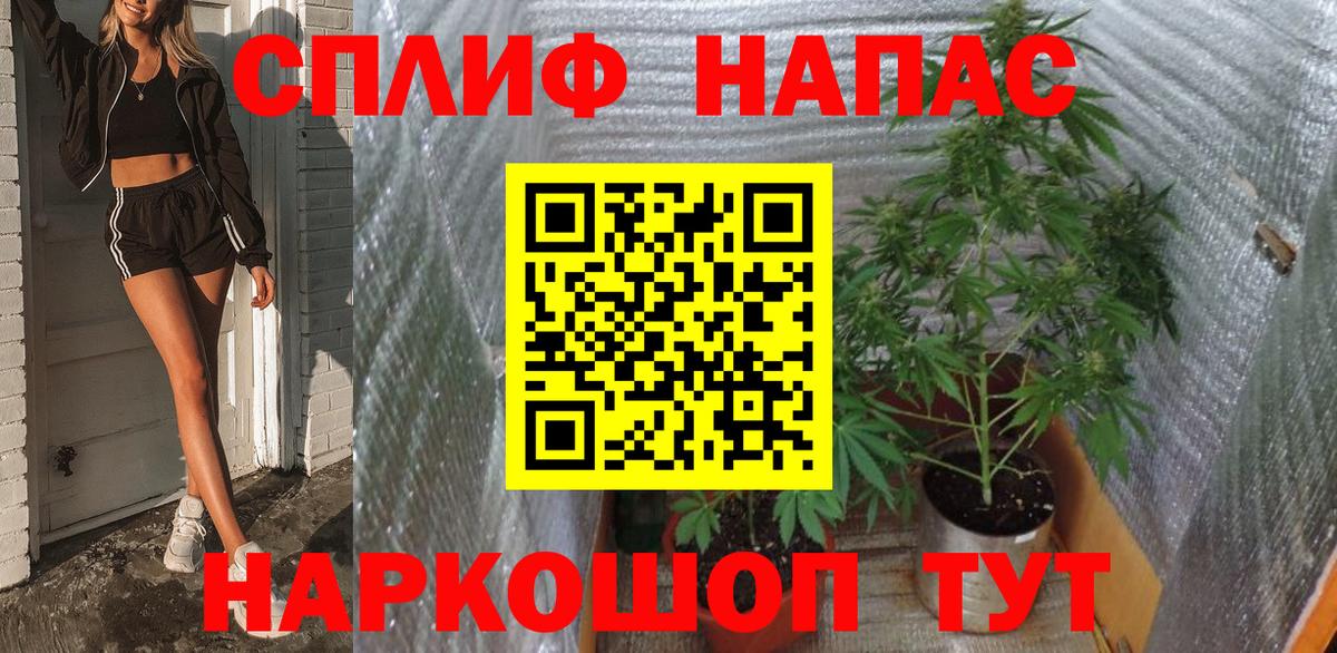 Вятские Поляны  Марихуана Amnesia  Марихуана план  Вход с VPN 
